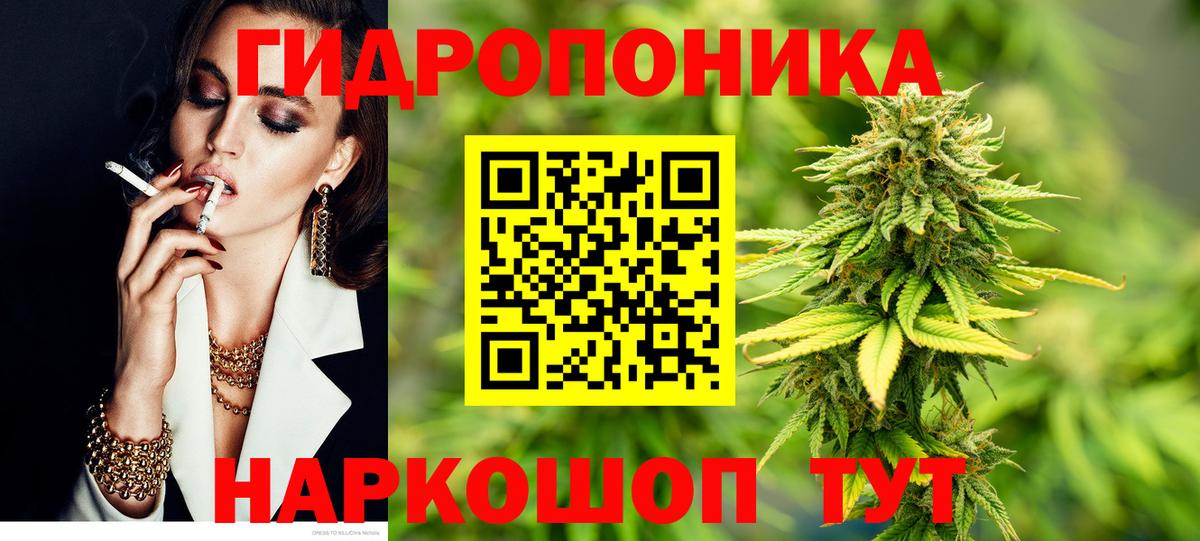 Шишки марихуана план  Каннабис VHQ  Вход с VPN  Владимир  Марихуана индика 